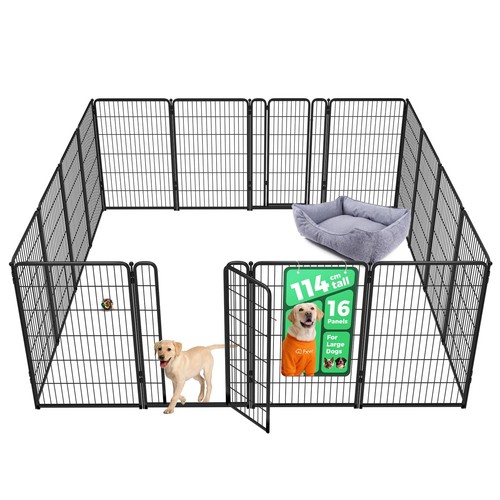 Fxw homeplus indoor dog - homeplus,