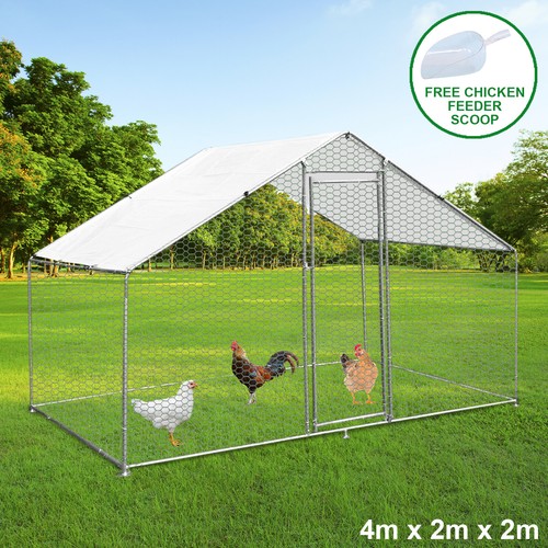 Chicken run walk coop - walk,