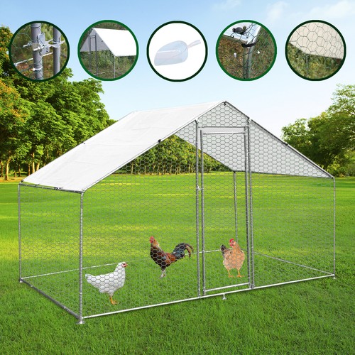 Chicken run walk coop - run, in